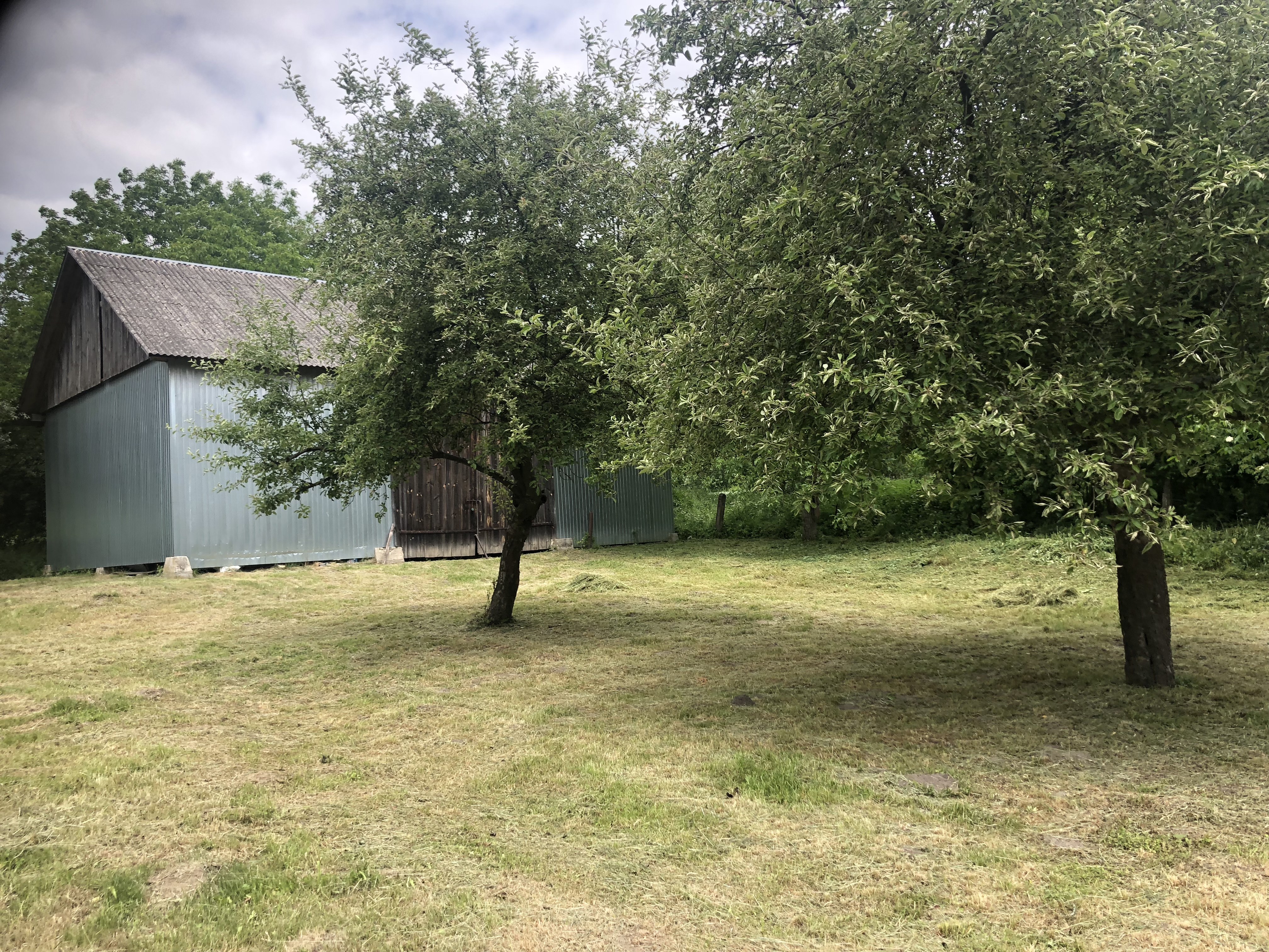 Gospodarstwo niecale 6 ha dom budynki las laka pole