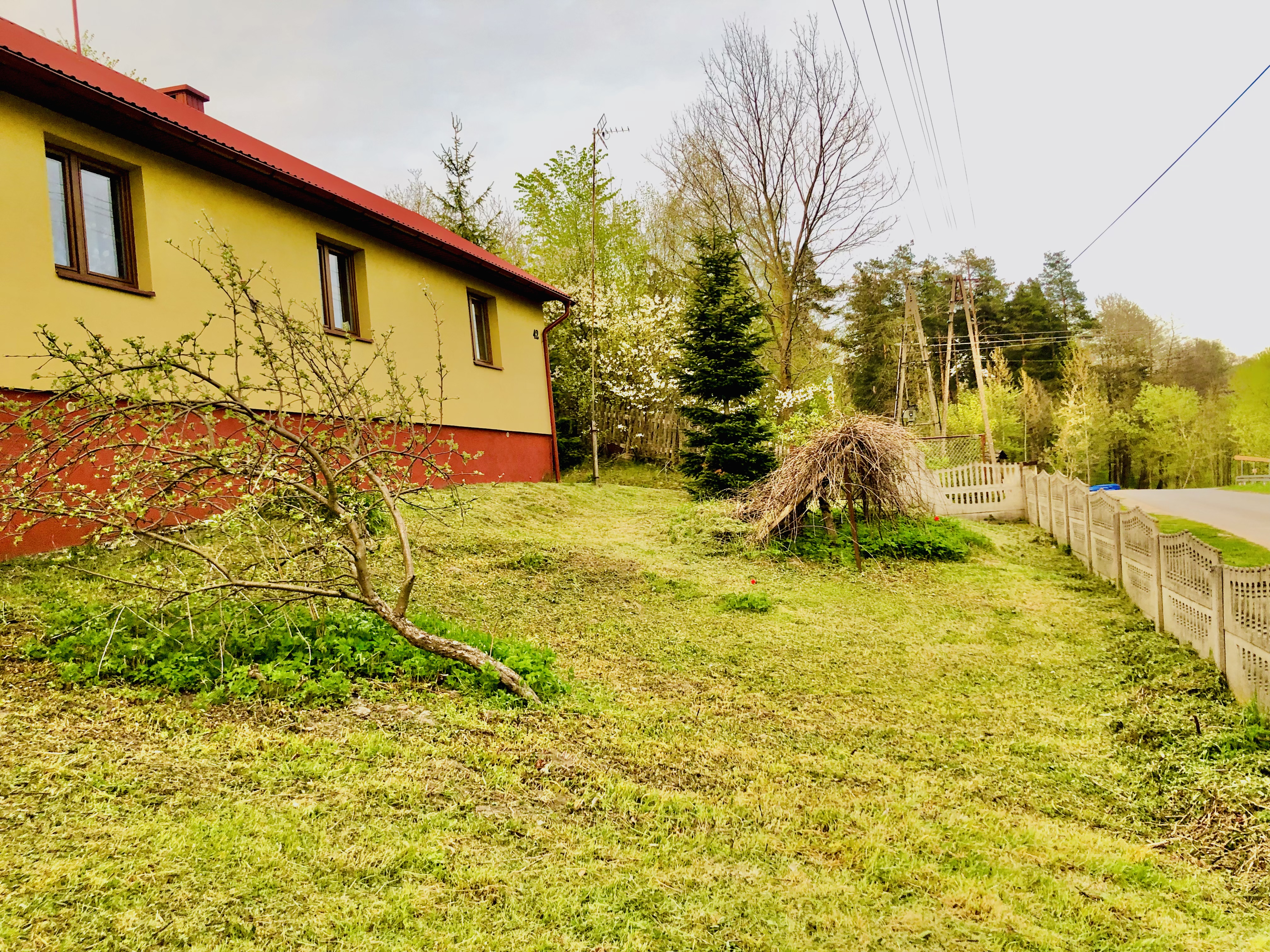 Gospodarstwo niecale 6 ha dom budynki las laka pole