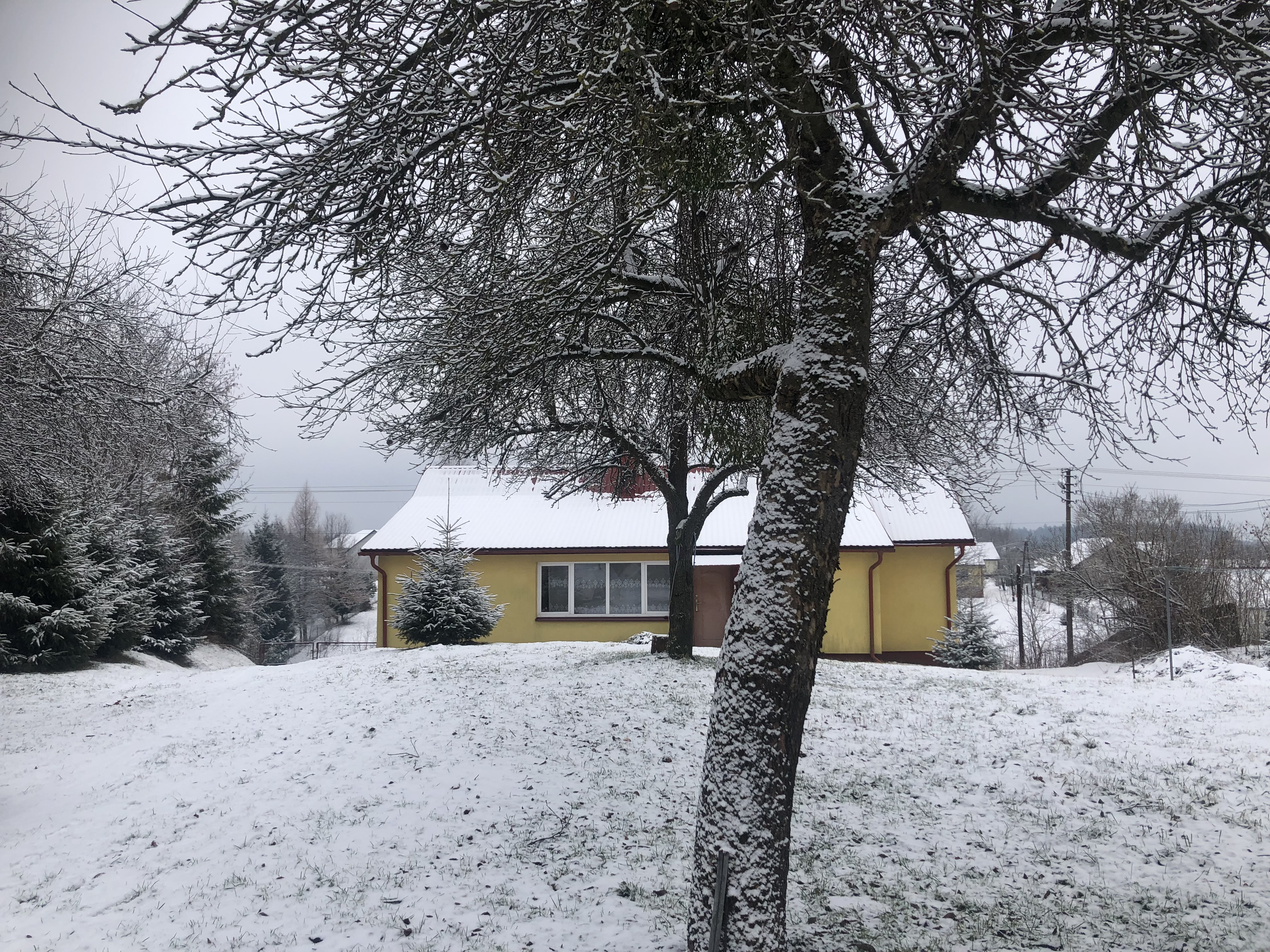 Gospodarstwo niecale 6 ha dom budynki las laka pole