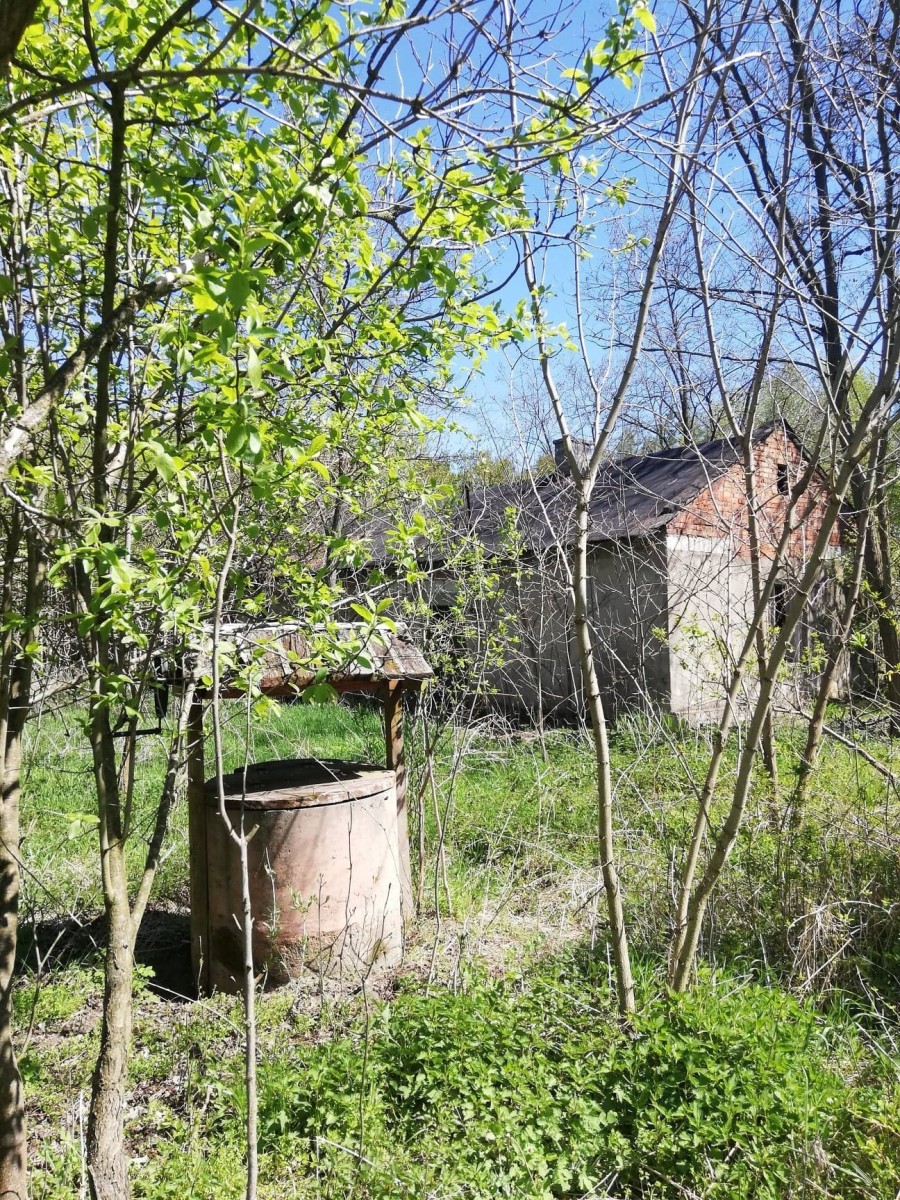 KAMIEŃCZYK SIELSKO I ANIELSKO