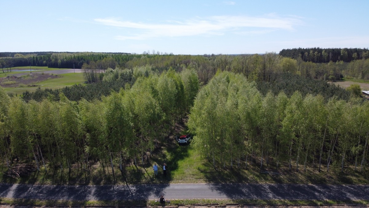 KAMIEŃCZYK SIELSKO I ANIELSKO