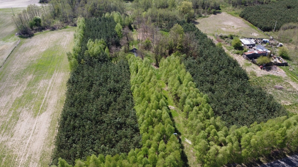 KAMIEŃCZYK SIELSKO I ANIELSKO