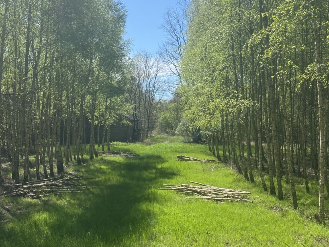 KAMIEŃCZYK SIELSKO I ANIELSKO