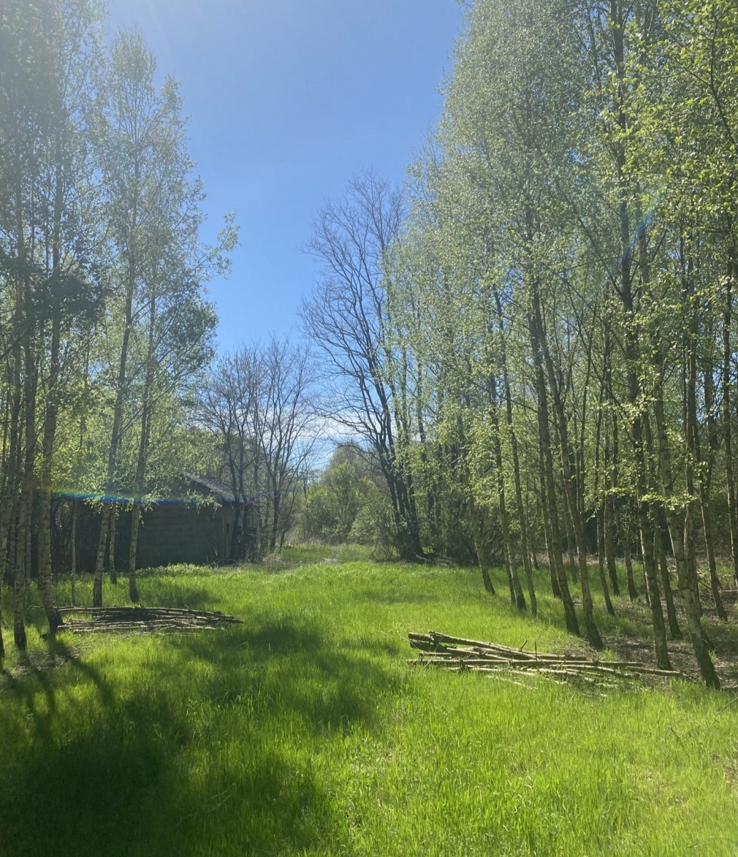 KAMIEŃCZYK SIELSKO I ANIELSKO