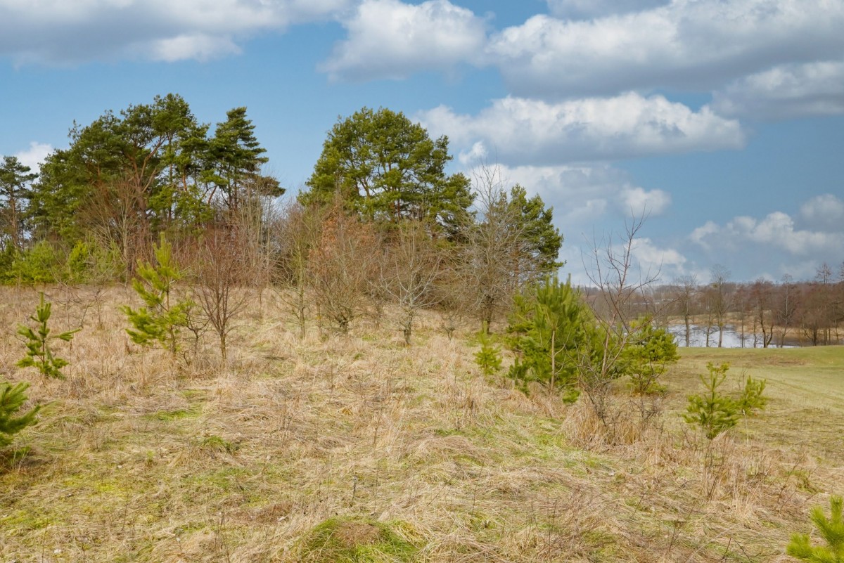 Wzgórze z linią brzegową na Mazurach.