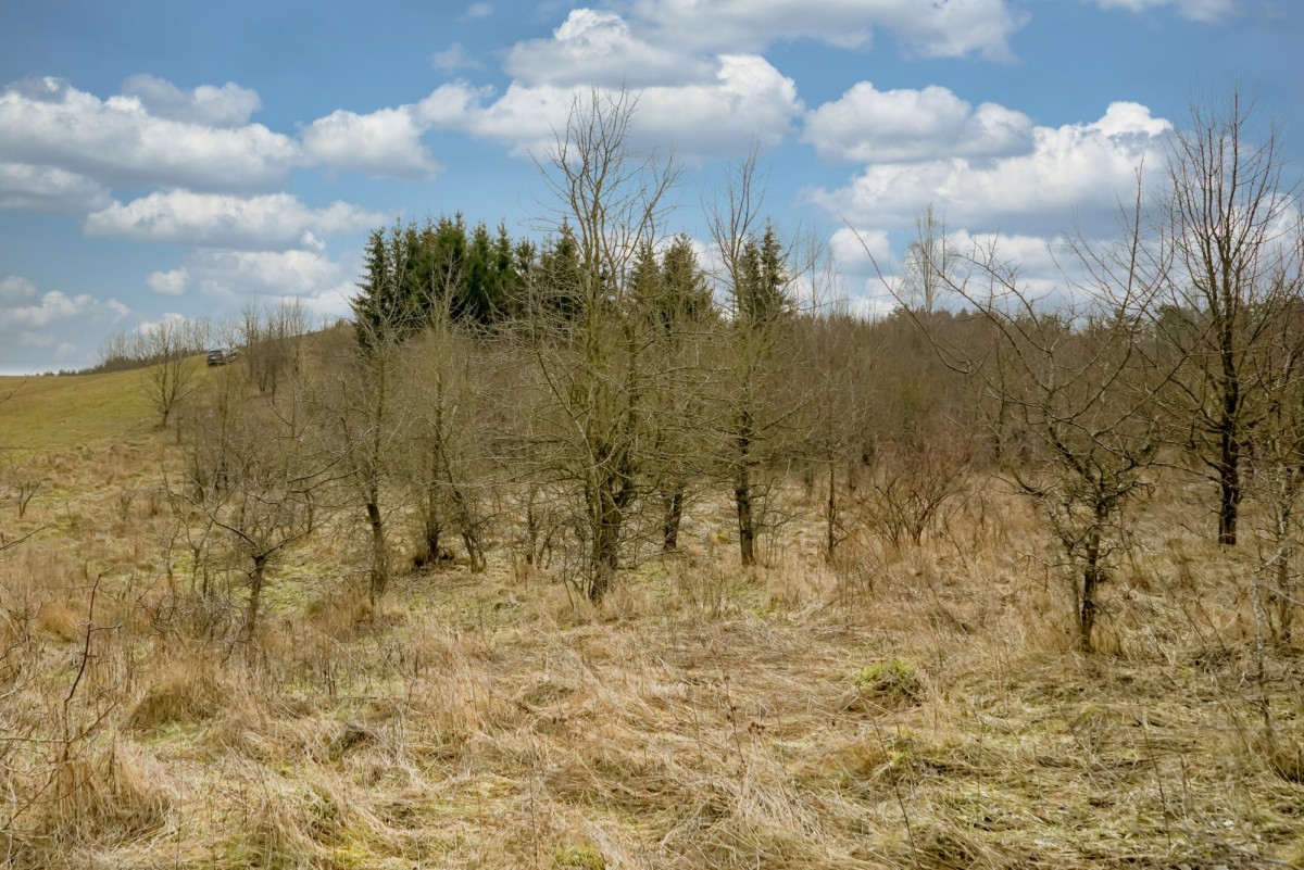 Wzgórze z widokiem na mazurskie jezioro